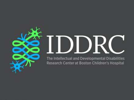 IDDRC Logo
